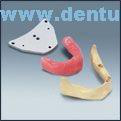 A-J K Implantologický tréningový model - mandibula, syntetická kost